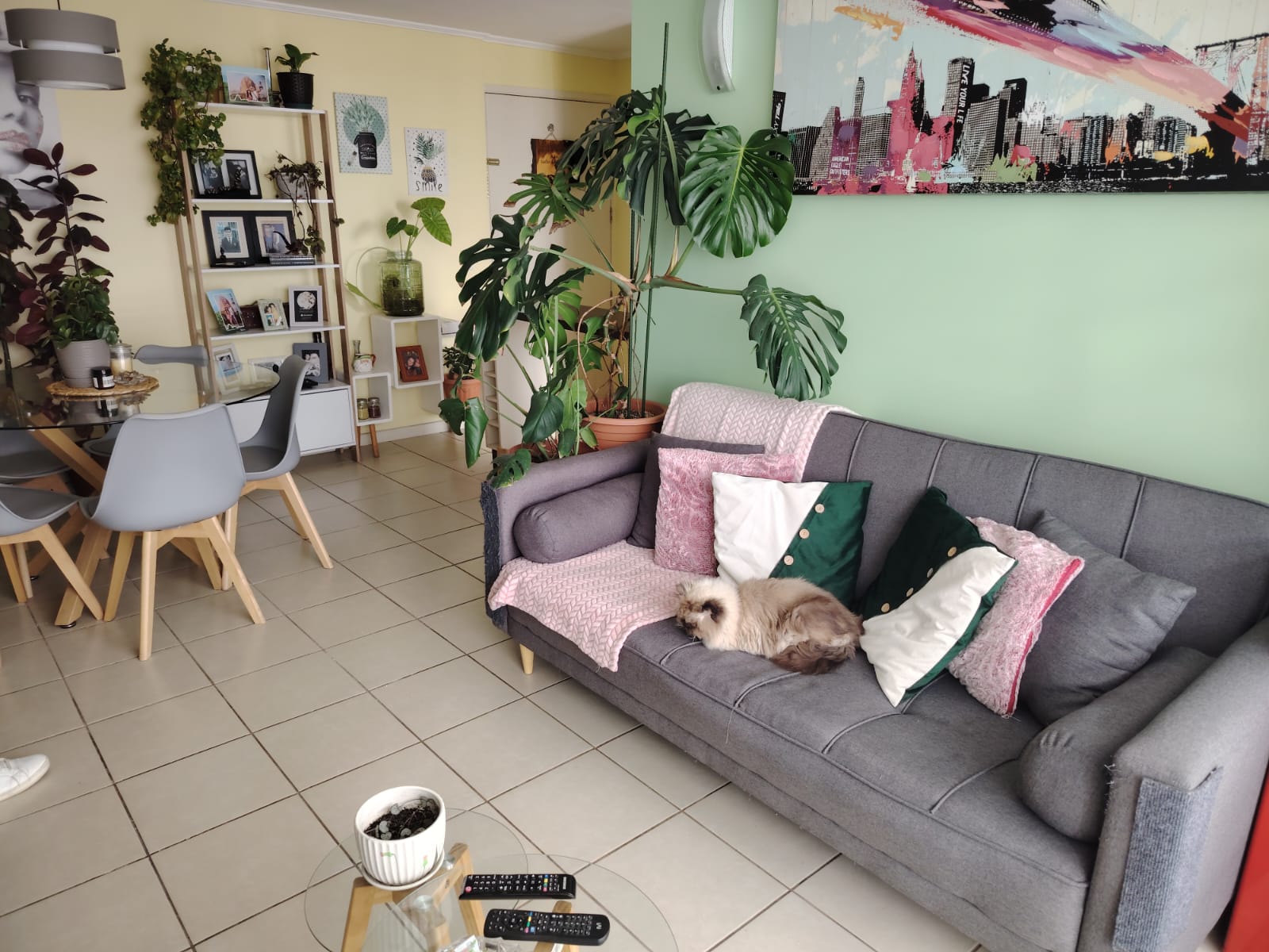 Foto 2